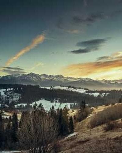 BOSH!: Simple Recipes. Unbelievable Results.